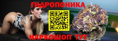 стафф Коммунар