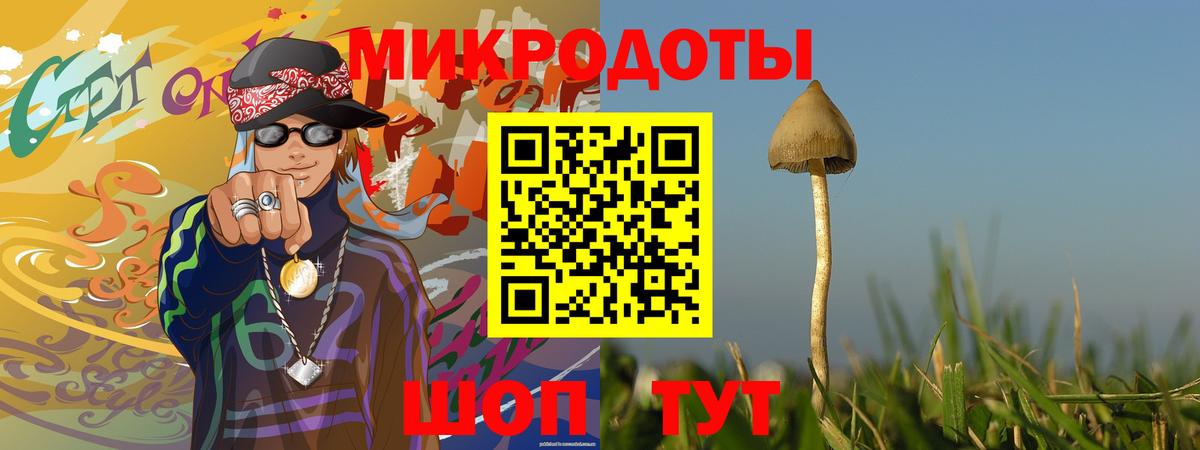 Псилоцибиновые грибы мухоморы Южноуральск